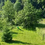 Le Chant Des Hiboux *