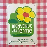 Le Chant Des Hiboux *