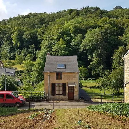 Le Chant Des Hiboux * Haraucourt (Ardennes)