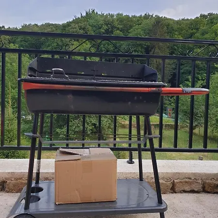 Le Chant Des Hiboux *