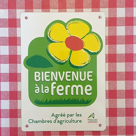 Le Chant Des Hiboux *